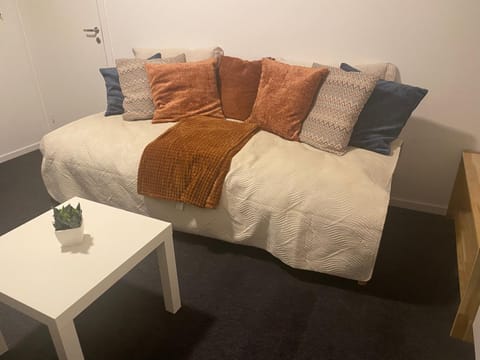 Nordheim Studio Apartment Apartment in Tromso