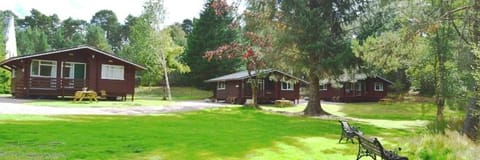 Property building, Natural landscape, Garden