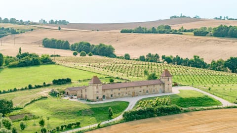 Property building, Bird's eye view