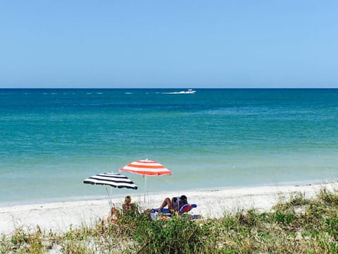 Beach, group of guests, sunbed