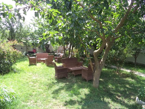 BBQ facilities, Garden