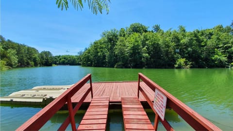 Haleywood, Private 125 acres on Lake Douglas with 2 cabins, Seasonal Pool, Boat Dock, Free Ticket! Cabin in Sevierville