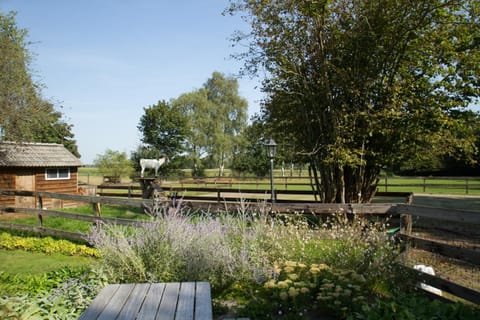 Garden, Balcony/Terrace, Garden view