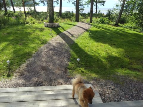 Koivuniemen Tila 3 Villa in Finland