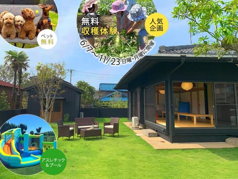 Animals, Area and facilities, Entertainment