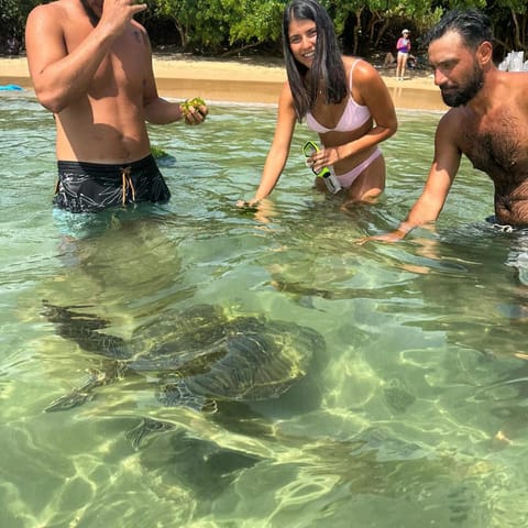 Beach, Animals