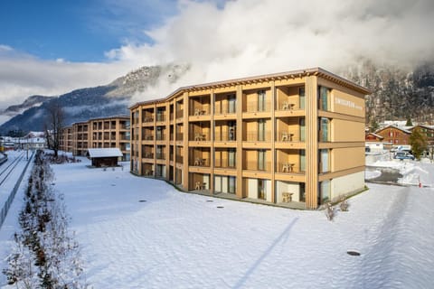 Property building, Day, Natural landscape, Winter, Mountain view