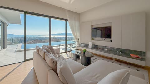 TV and multimedia, Living room