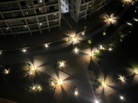 Night, Garden, View (from property/room), Garden view