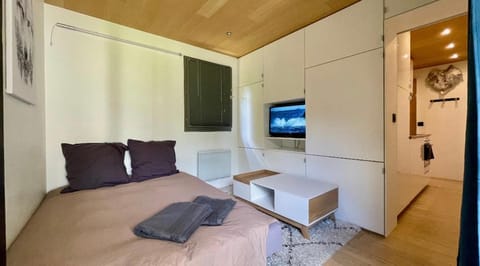 Studio rénové avec terrasse Sud idéalement situé Apartment in Combloux