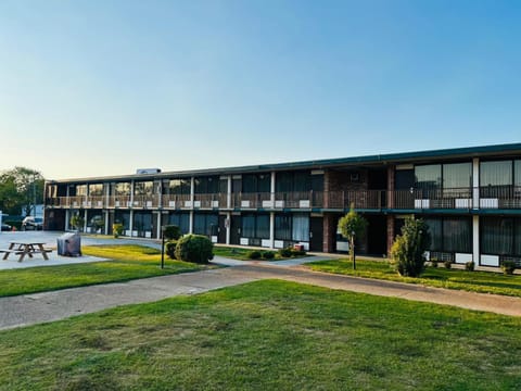 Property building, Day, Natural landscape, Garden, Garden view