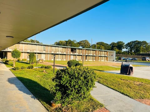Spring, Day, Garden, Garden view