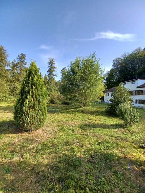 Spring, Natural landscape, Garden, Garden view