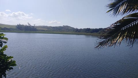 Natural landscape, River view