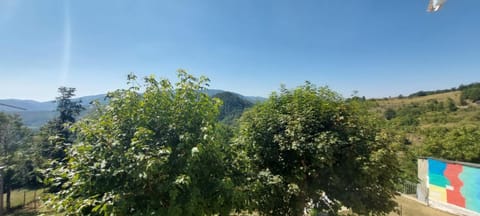 Natural landscape