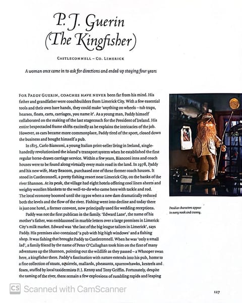 Kingfisher Lodge & Pub Vacation rental in County Limerick