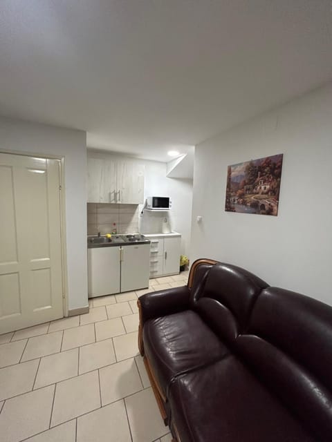 Kitchen or kitchenette, Living room, Seating area, minibar, pet friendly, stove