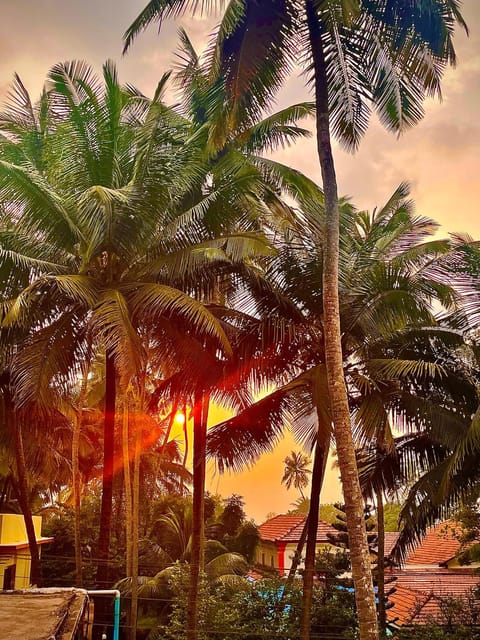 Natural landscape, Sunrise, Sunset