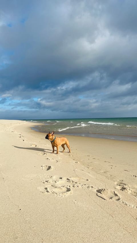 Apartamenty Belni Hel Edyta i Maciej Wolak Apartment in Pomeranian Voivodeship