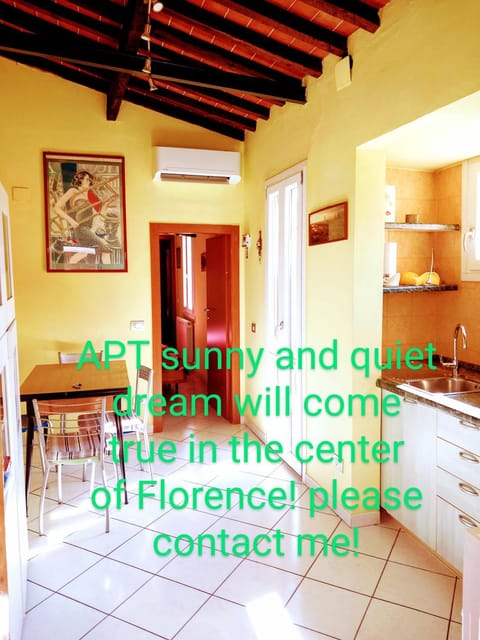 Apt bright, quiet! In the center. Apartment in Florence