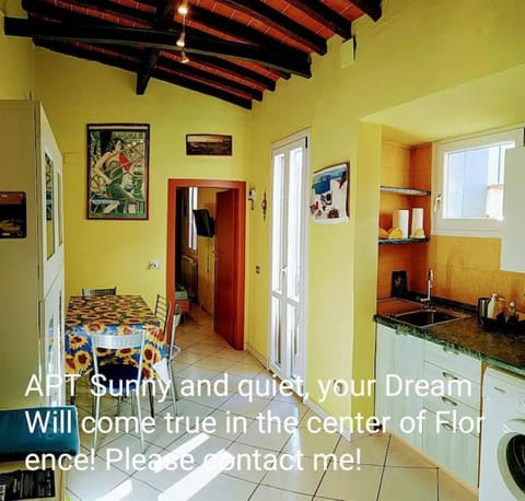 Apt bright, quiet! In the center. Apartment in Florence