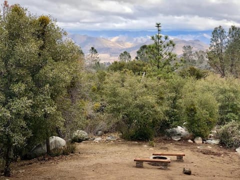 Natural landscape, Garden, Garden view, Mountain view
