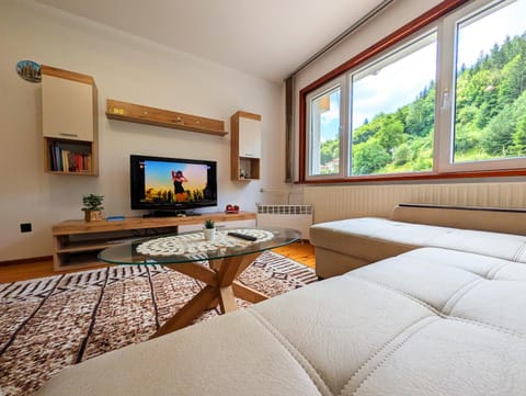 Communal lounge/ TV room, Library, TV and multimedia, Living room, Seating area, Evening entertainment, Mountain view, Inner courtyard view, heating