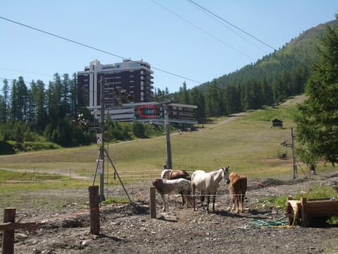 Natural landscape, Mountain view