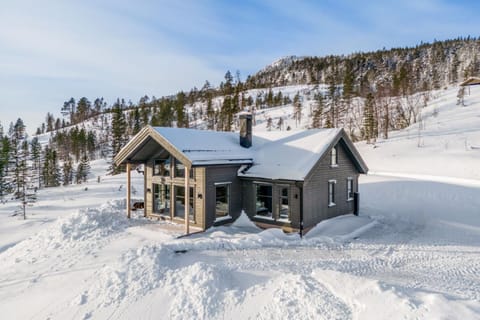 Property building, Day, Winter