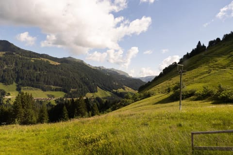Berg Aparts Faschina - 03 Apartment in Fontanella