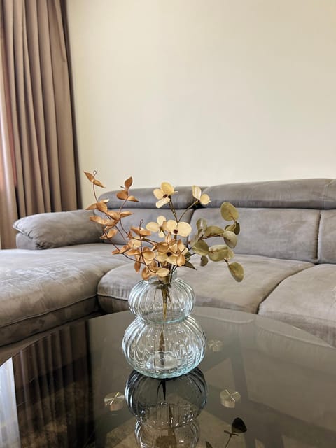 Amot apartamentai Apartment in Lithuania