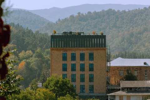 Property building, Natural landscape, View (from property/room), Balcony/Terrace, Mountain view