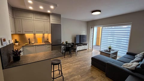 Kitchen or kitchenette, Living room, Photo of the whole room, Seating area, Dining area