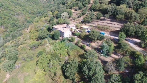 Property building, Bird's eye view
