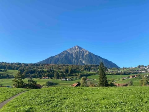 See und Berge Garden Apartment in Canton of Bern (Region)