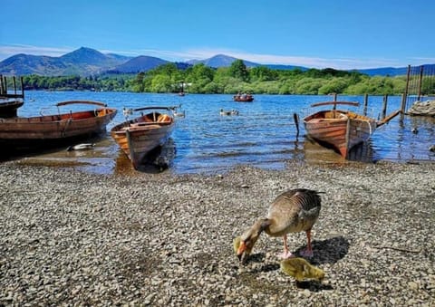 Natural landscape, Lake view, Mountain view