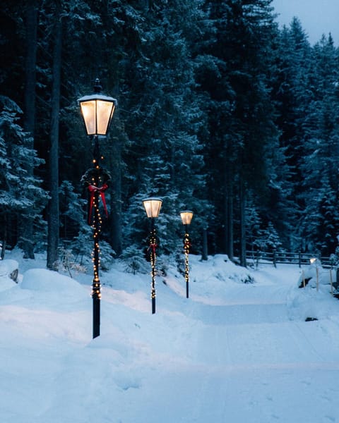 Natural landscape, Winter