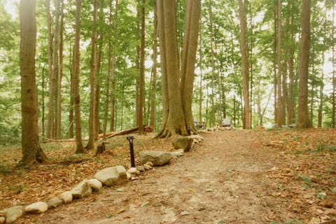Wilderness Vista Retreat Chalet in Michigan