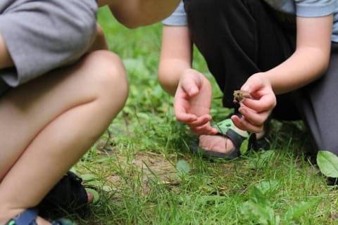 Wilderness Vista Retreat Chalet in Michigan