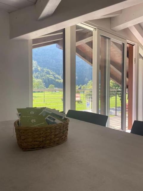 Attico da Silvi Apartment in Ledro