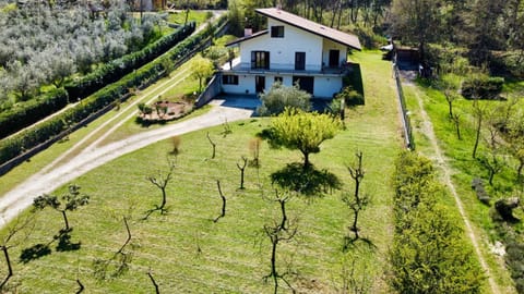 Property building, Bird's eye view, Garden, Garden view
