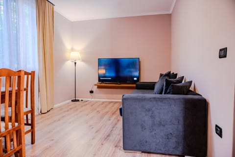 TV and multimedia, Seating area, Evening entertainment