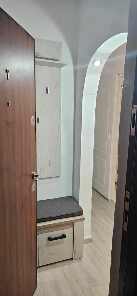 HCL's Apartament Apartment in Timisoara