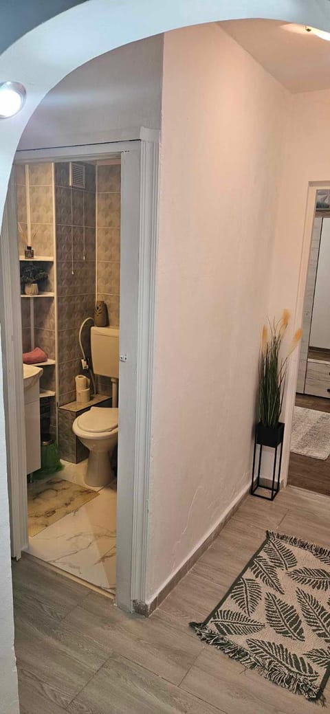 HCL's Apartament Apartment in Timisoara