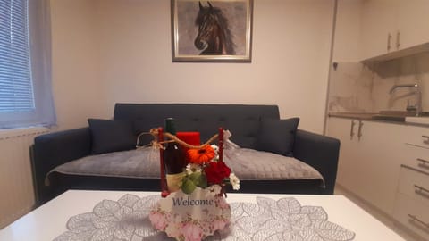 Apartman MiSSS Apartment in Federation of Bosnia and Herzegovina