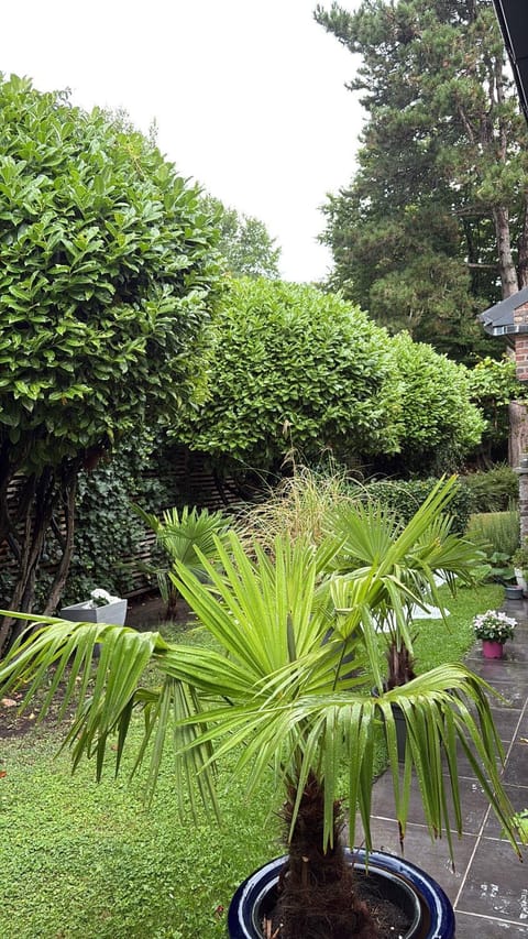 Efes home Vacation rental in Ghent