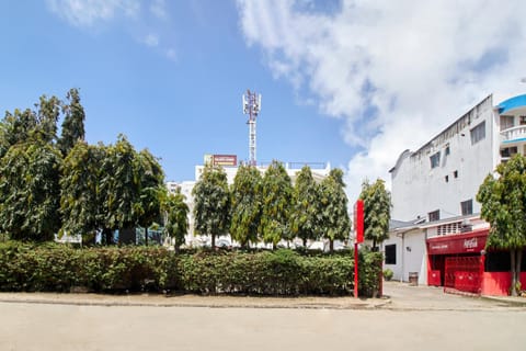 Property building, Day, Garden