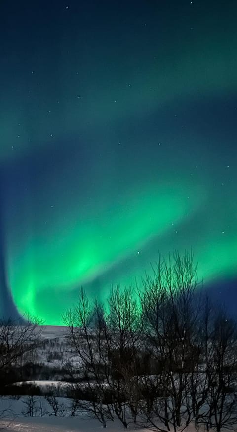 Night, Natural landscape, Winter