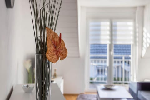 am Salinensee Apartment in Villingen-Schwenningen