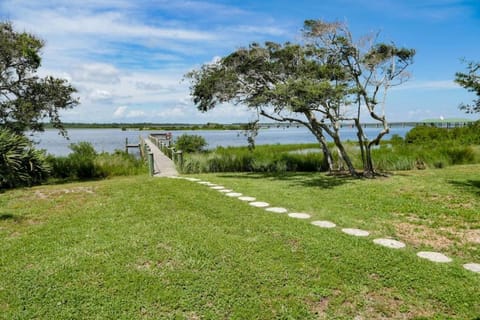 Natural landscape, River view